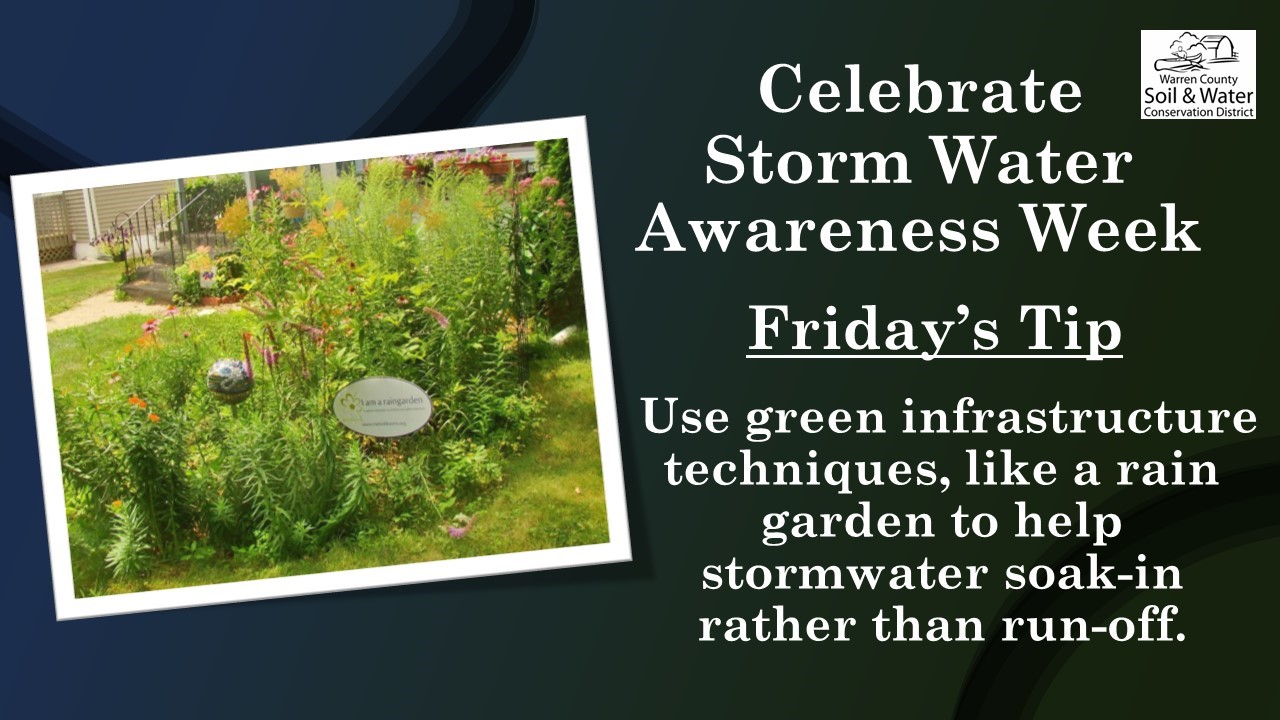Stormwater Awareness Friday