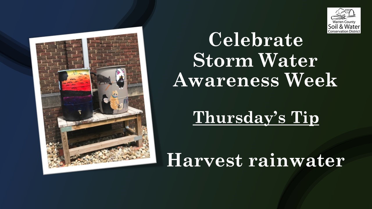 Stormwater Awareness Thursday